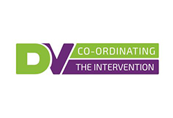 DVCI - Domestic Violence: Coordinating the Strategic Intervention